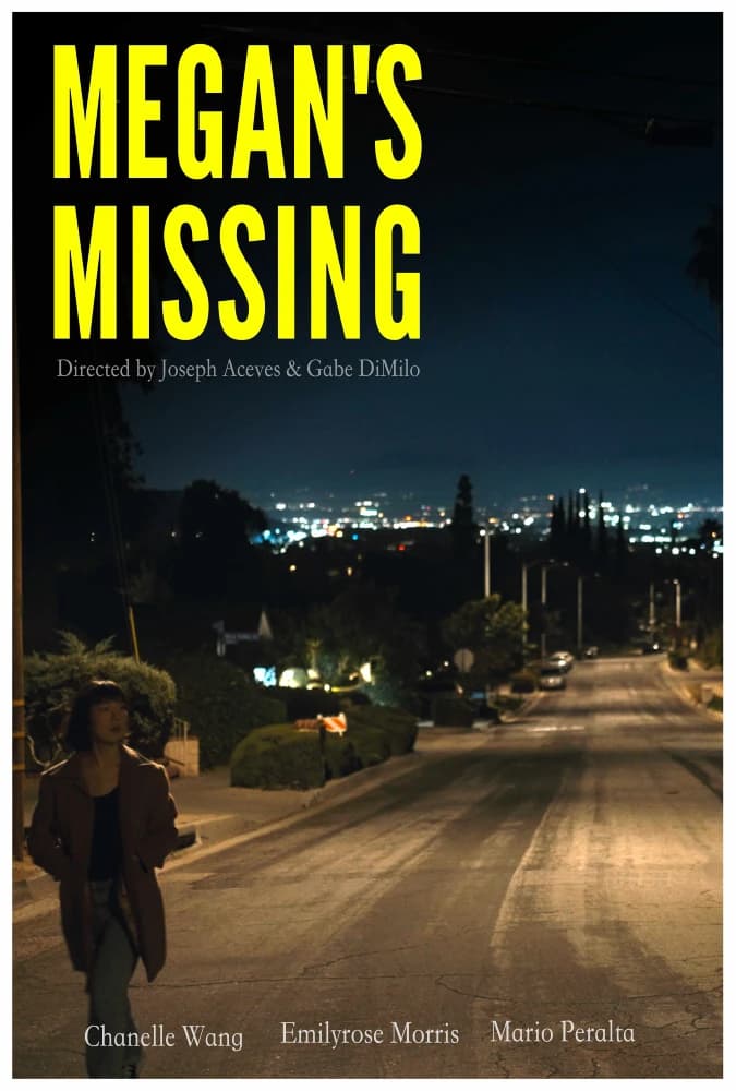 Megan's Missing